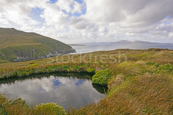 Colorful Landscape on a Remote Island Stock photo © wildnerdpix