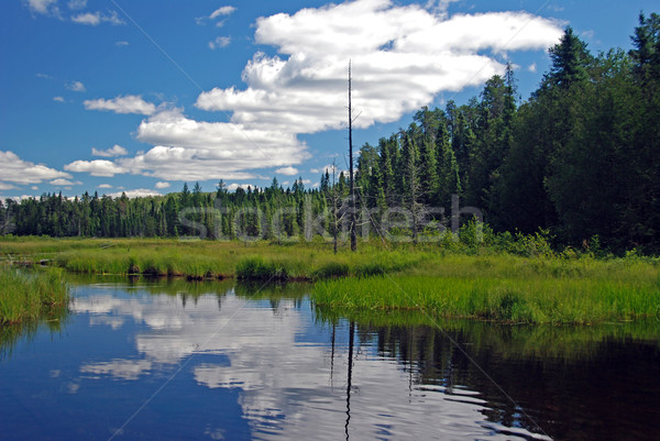 Blue water and skies in the Wilderness Stock photo © wildnerdpix
