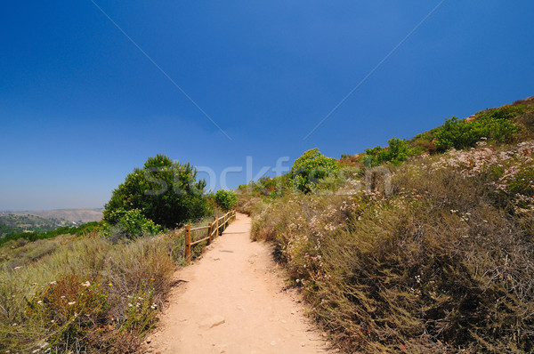 Californië berg parcours San Diego park hek Stockfoto © wildnerdpix