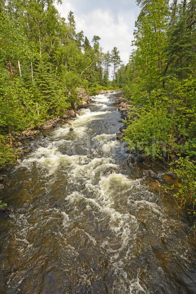 Dramatic Rapids in a Wilderness River Stock photo © wildnerdpix