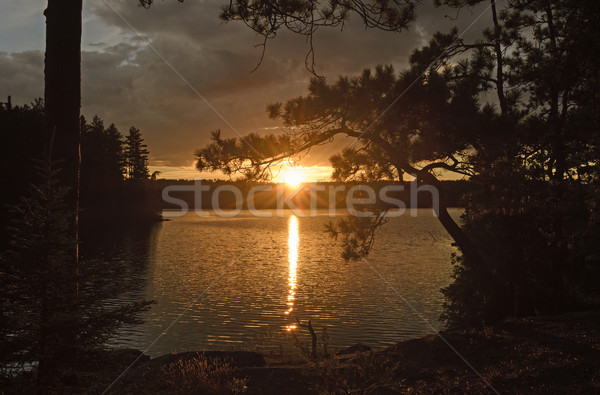 Sun Peeking Through at Sunset Stock photo © wildnerdpix