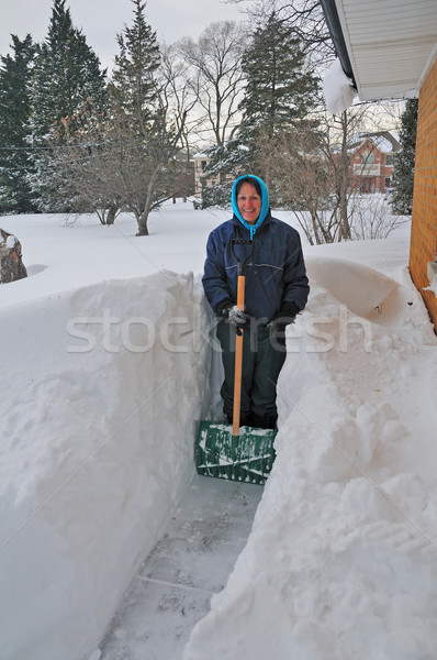 Sur hiver photos Chicago 22 [[stock_photo]] © wildnerdpix