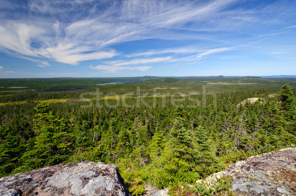 Panoramic View from a Mountain Top Stock photo © wildnerdpix