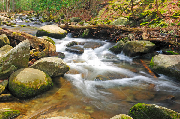 Mountain stream in the spring Stock photo © wildnerdpix