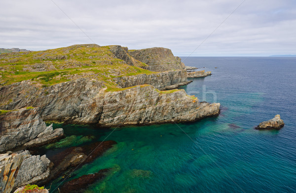Coastal Rocks in Newfoundland Stock photo © wildnerdpix