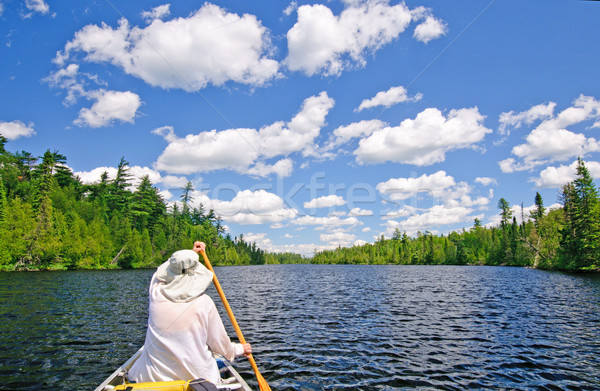Canoer on a Lake in the North Woods Stock photo © wildnerdpix