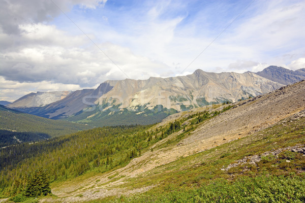 Látványos hegyek nyár nap tájkép panoráma Stock fotó © wildnerdpix