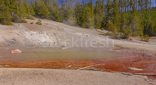 Colorido banho termal vapor géiser paisagem remoto Foto stock © wildnerdpix