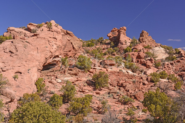 Rot Felsen Landschaft Wüste Park Utah Stock foto © wildnerdpix