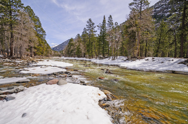 Rushing River with Winter Snowmelt Stock photo © wildnerdpix