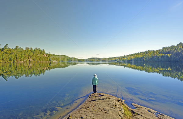 Enjoying the Morning Calm Stock photo © wildnerdpix