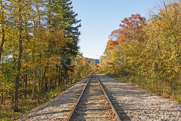 Railroad through the Fall Forest Stock photo © wildnerdpix