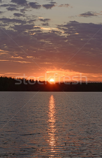 Sun Reflections on a Wilderness Lake Stock photo © wildnerdpix