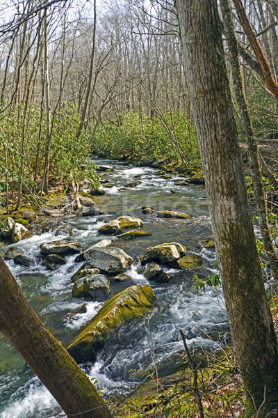 Stockfoto: Berg · stream · vroeg · voorjaar · weinig · rivier