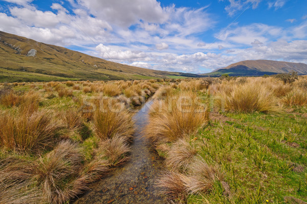 Stream flowing though a Mountain Meadow Stock photo © wildnerdpix