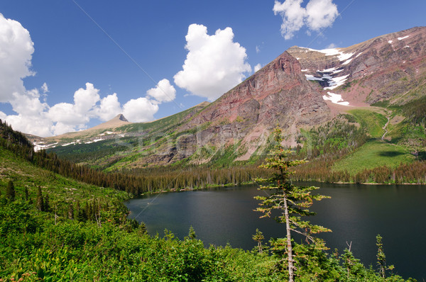 Summer in the Mountain West Stock photo © wildnerdpix