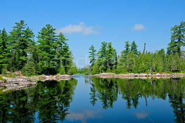 Calm waters in the Quetico Stock photo © wildnerdpix