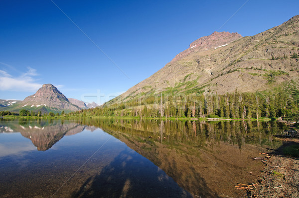 Morning reflections in the American West Stock photo © wildnerdpix