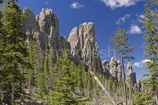 Distinctive Crags Over an Alpine Valley Stock photo © wildnerdpix
