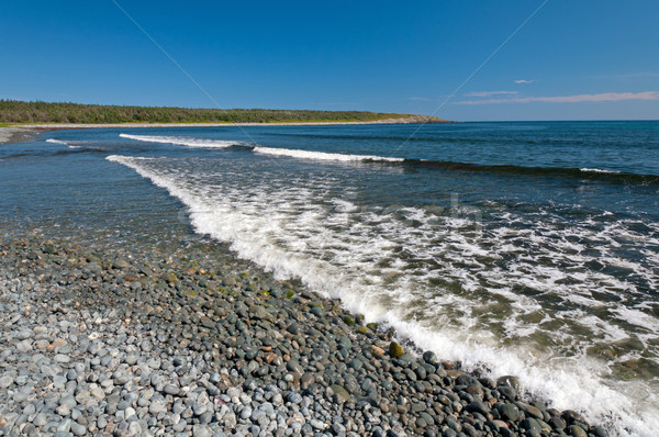 waves breaking on a cobblestone beach Stock photo © wildnerdpix
