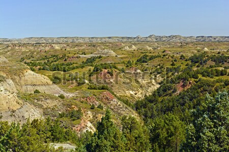 Badlands Panorama Stock photo © wildnerdpix