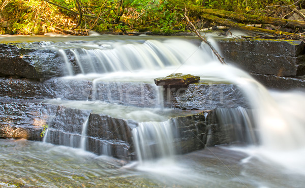 Hidden Falls in a Quiet Forest Stock photo © wildnerdpix
