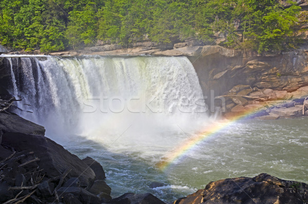 Rainbow on Dramatic Falls Stock photo © wildnerdpix