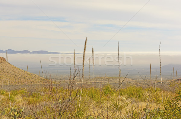 Stock photo: Morning Fog in a Desert Valley