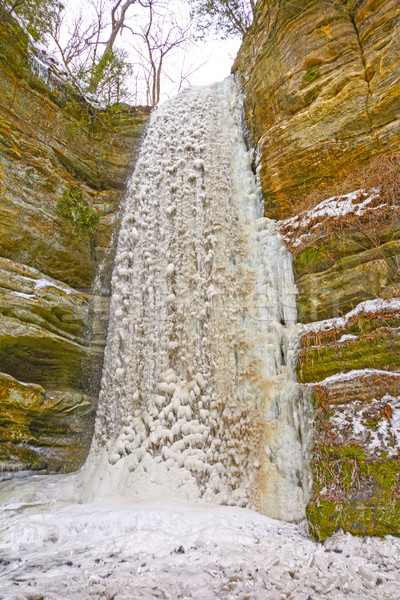 Frozen Waterfall in a Remote Canyon Stock photo © wildnerdpix