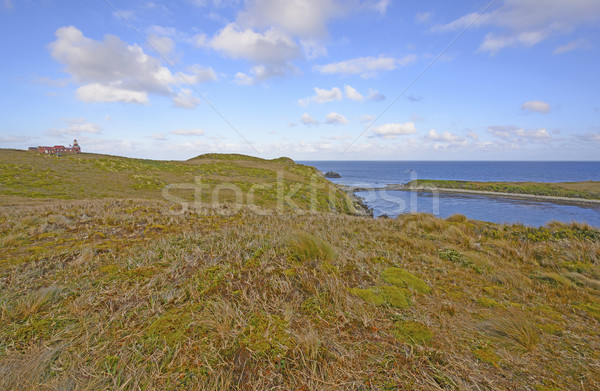 Lighthouse and Grassland at the end of the World Stock photo © wildnerdpix