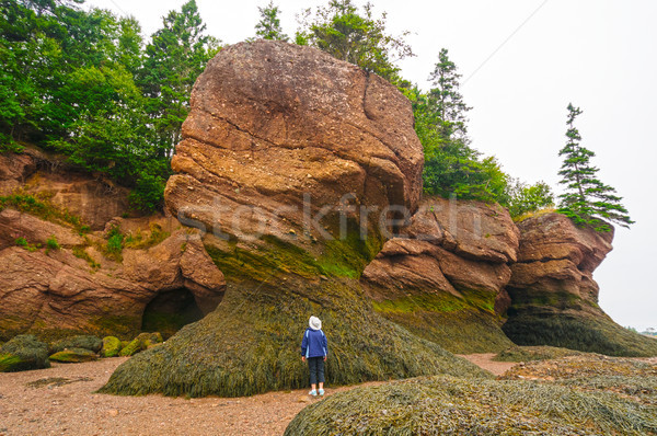 Patrząc skał niski fala kobiet krajobraz Zdjęcia stock © wildnerdpix