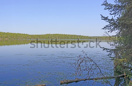 Early Morning on a Wilderness Lake Stock photo © wildnerdpix