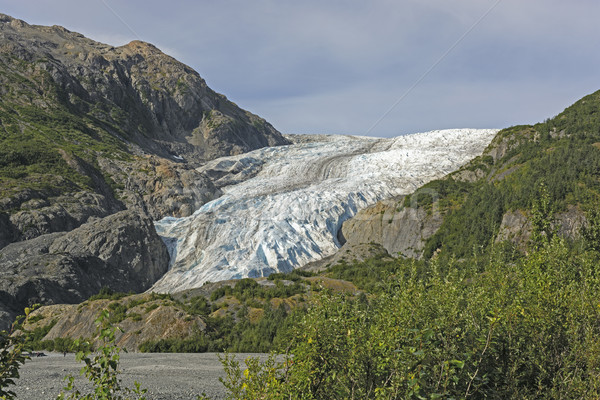 Glacier Coming out of the Mountains Stock photo © wildnerdpix
