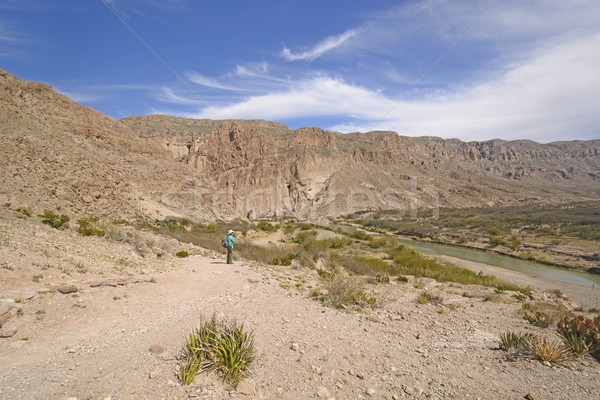 Hiker Enjoying the Desert View Stock photo © wildnerdpix