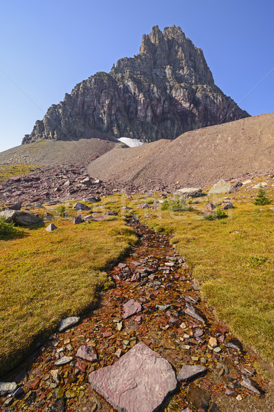 Stream unterhalb isoliert Spitze Berg Stock foto © wildnerdpix