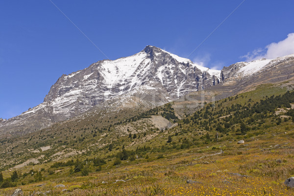 Snow Touched Peak in Patagonia Stock photo © wildnerdpix