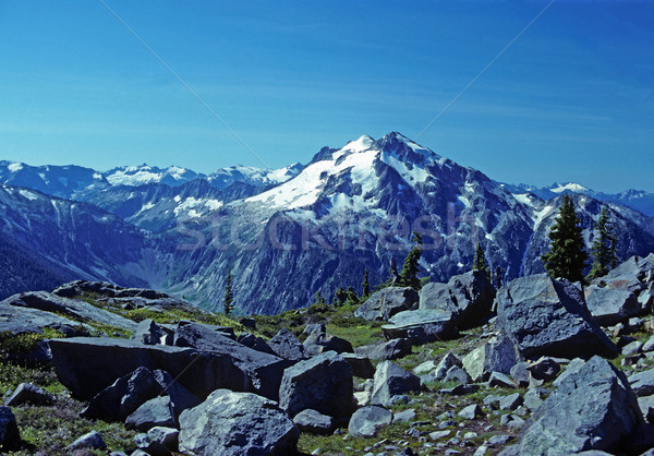 Mountain Peak along an Alpine trail Stock photo © wildnerdpix