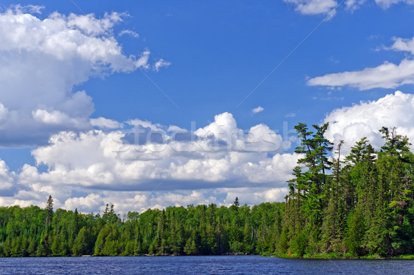 Afternoon storm clouds building in Canoe Country Stock photo © wildnerdpix