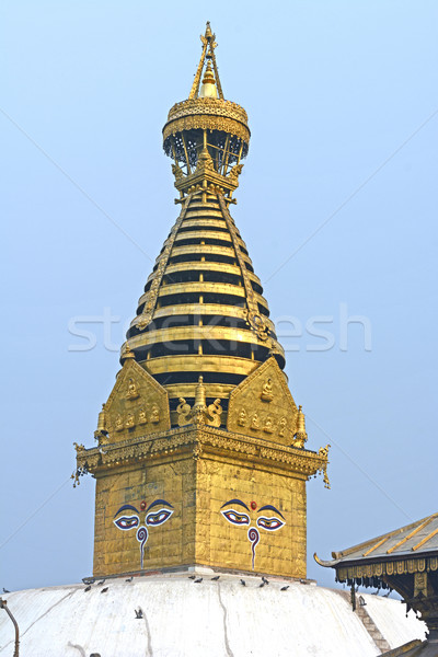 Pinnacle to a Shrine Complex Stock photo © wildnerdpix