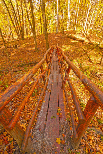 Hand Crafted Foot Bridge in the Fall Forest Stock photo © wildnerdpix