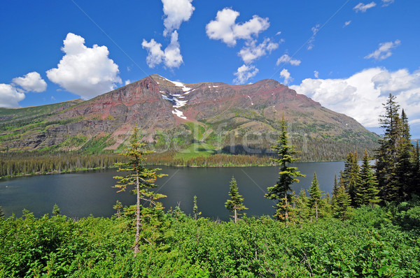 Alpine Lake in the wilds Stock photo © wildnerdpix