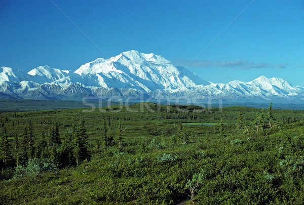 Mountain against the sky Stock photo © wildnerdpix