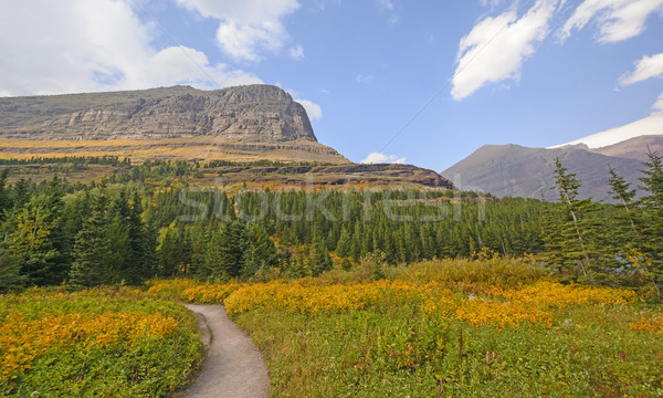 Dramatique couleurs d'automne montagne vallée glacier parc [[stock_photo]] © wildnerdpix