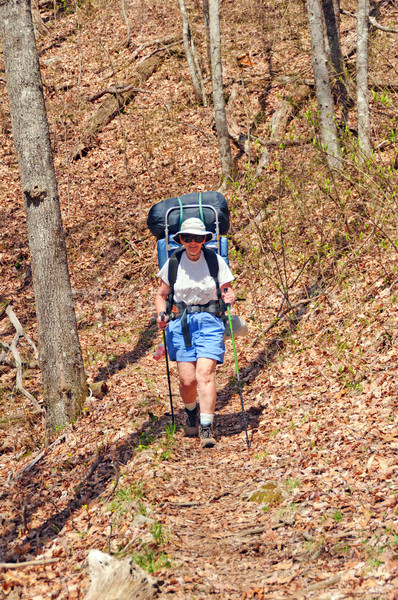 Heading Downhill in the Wilderness Stock photo © wildnerdpix