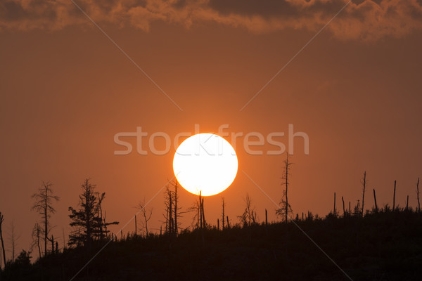 Sunset over a North Woods Ridge Stock photo © wildnerdpix
