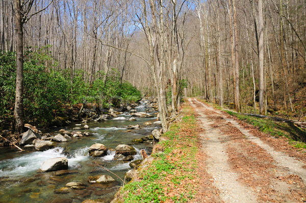 trail along a river Stock photo © wildnerdpix