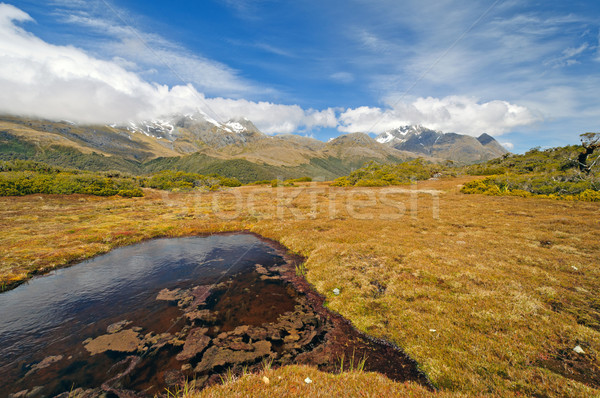Meadow and Mountains on a remote plateau Stock photo © wildnerdpix