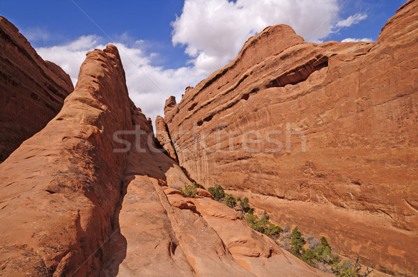 Hidden Canyon rot rock Land Park Stock foto © wildnerdpix
