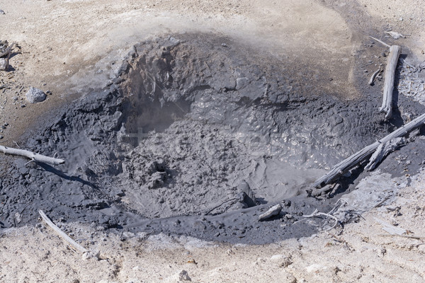 Boiling Mudpool in a Thermal Area Stock photo © wildnerdpix