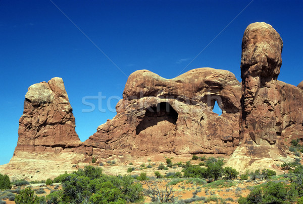 Red Rocks in Arches National Park Stock photo © wildnerdpix